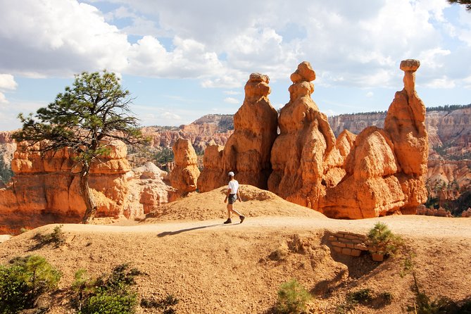 Bryce Canyon & Zion National Park from Las Vegas with Lunch, WiFi - Checkerboard Mesa: a short stop that earns its spot