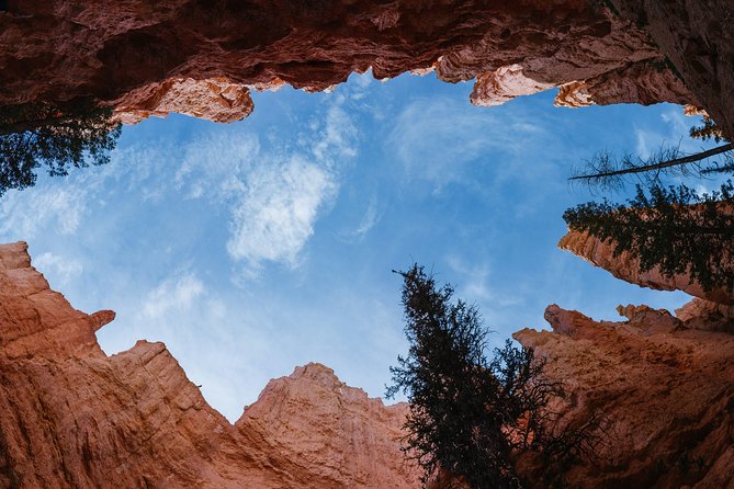 Bryce Canyon & Zion National Park from Las Vegas with Lunch, WiFi - Bryce Canyon: 1.5 hours of viewpoints and hoodoo magic