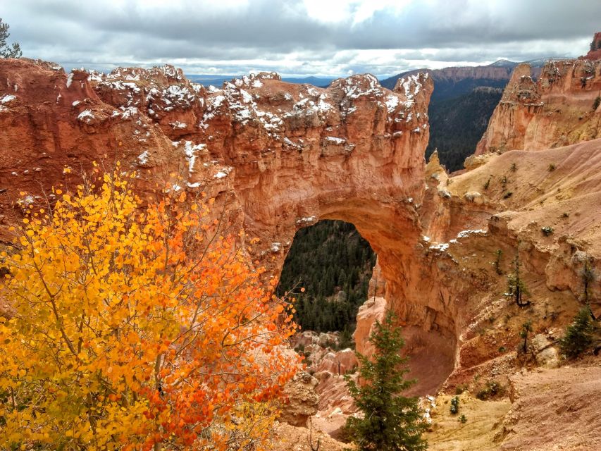 Bryce: Guided Sightseeing Tour of Bryce Canyon National Park - Natural Bridge and the High-Plateau View Toward the North Rim