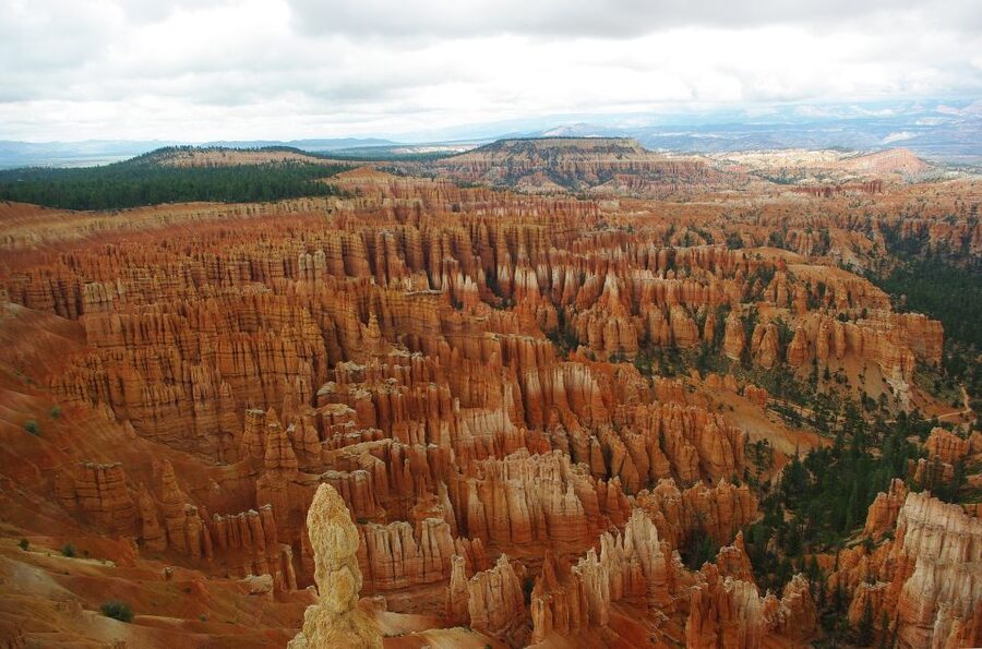 Bryce: Guided Sightseeing Tour of Bryce Canyon National Park - Wall Street and the Silent City: Thor’s Hammer, Great Serpent, Queen Victoria