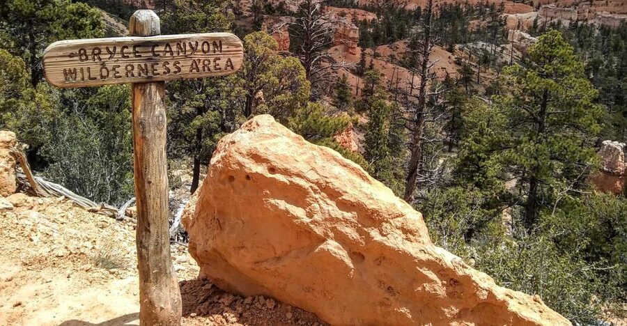 Bryce: Guided Sightseeing Tour of Bryce Canyon National Park - Fairyland Canyon Start: Stone Amphitheaters and Bristlecone Pine