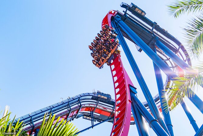Busch Gardens Tampa Bay Admission Ticket - Busch Gardens Tampa Bay in one day: coasters plus real animal time