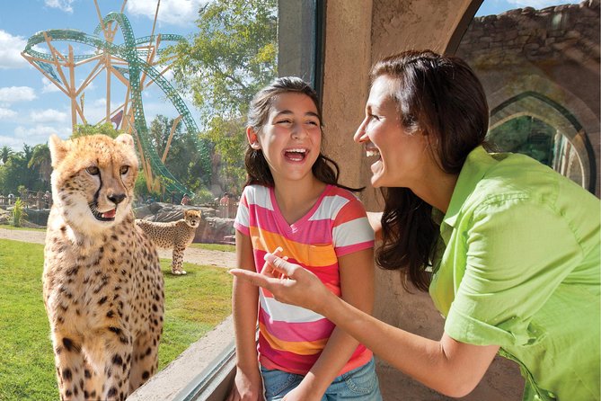 Busch Gardens Tampa Bay Admission Ticket - Jungala: zip lines, tiger tug-of-war, and a jungle play world