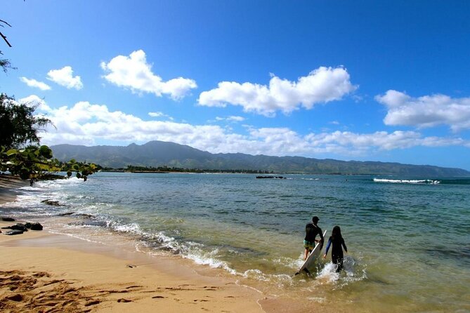 Cage-Free Shark Swim from Oahu - Cage-Free Shark Swim From Haleiwa: What Makes It Different