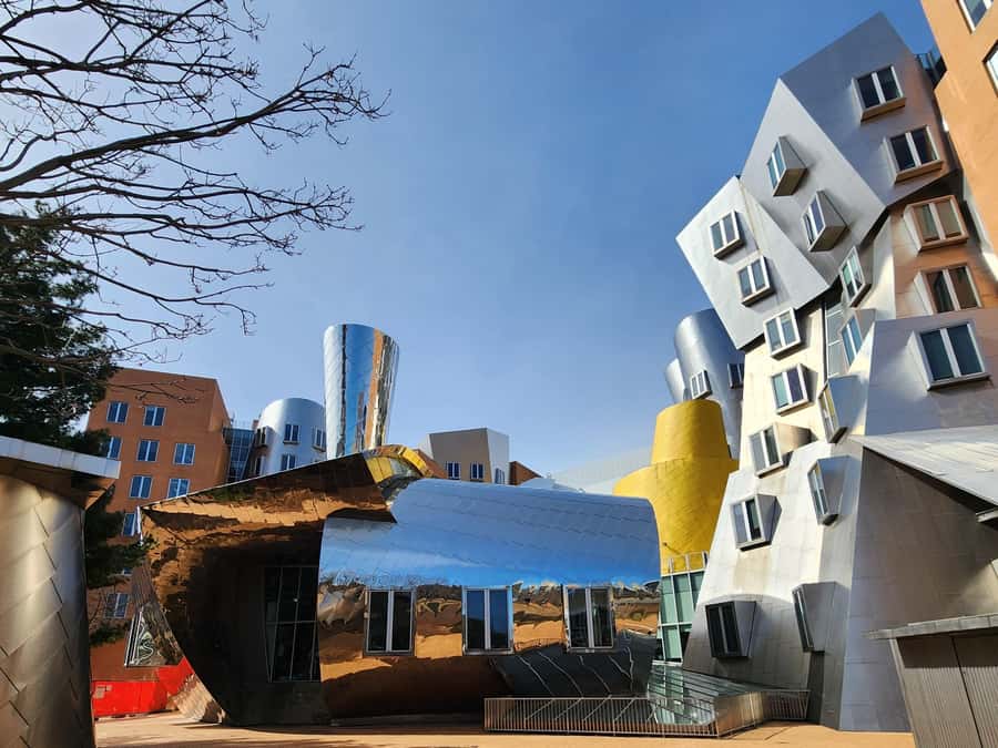 Cambridge, Massachusetts: MIT and Harvard Walking Tour - Harvard Yard and the campus legends you actually remember