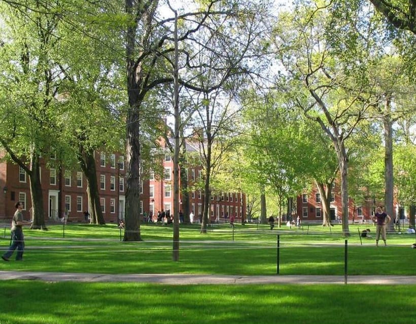 Cambridge, Massachusetts: MIT and Harvard Walking Tour - Who should book this MIT and Harvard walking tour