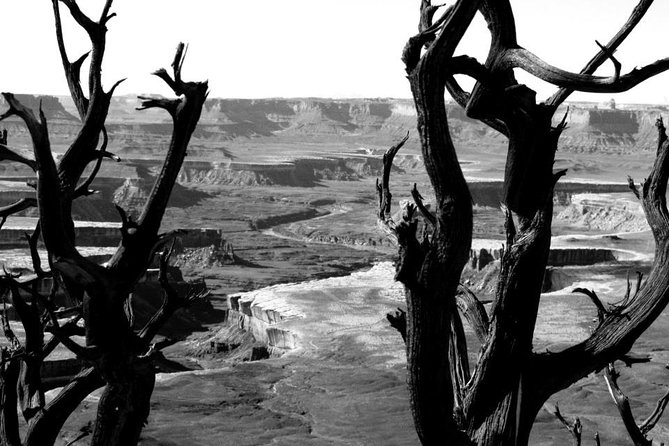 Canyonlands National Park Half-Day Tour from Moab - Should you book Canyonlands Half-Day 4WD from Moab?
