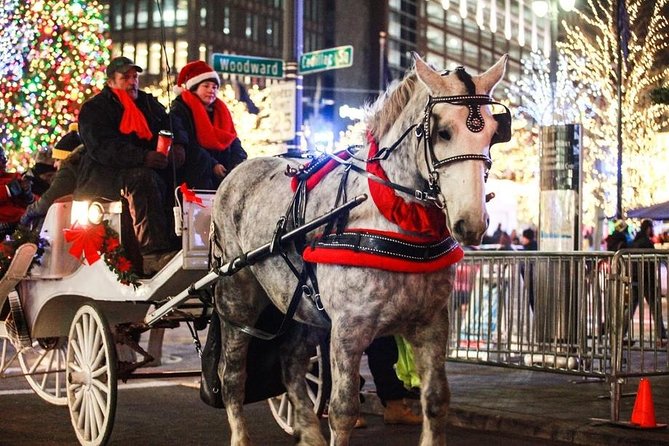 Carriage Ride in Central Park (VIP - PRIVATE) Since 1964™ - Why this private Central Park carriage ride feels different