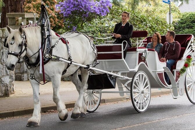 Carriage Ride in Central Park (VIP - PRIVATE) Since 1964™ - Cold weather comfort: blankets, drizzle, and how to dress smart