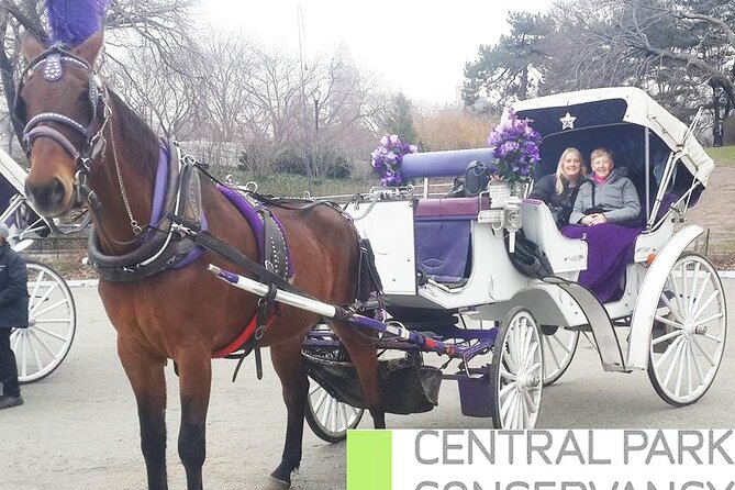 Carriage Ride in Central Park (VIP - PRIVATE) Since 1964™ - The private pacing, photo stops, and feeding the horse