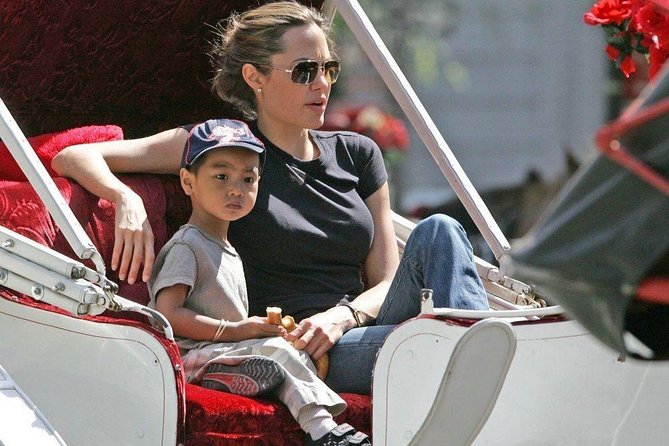 Carriage Ride in Central Park (VIP - PRIVATE) Since 1964™ - Who should book this carriage ride, and who should think twice