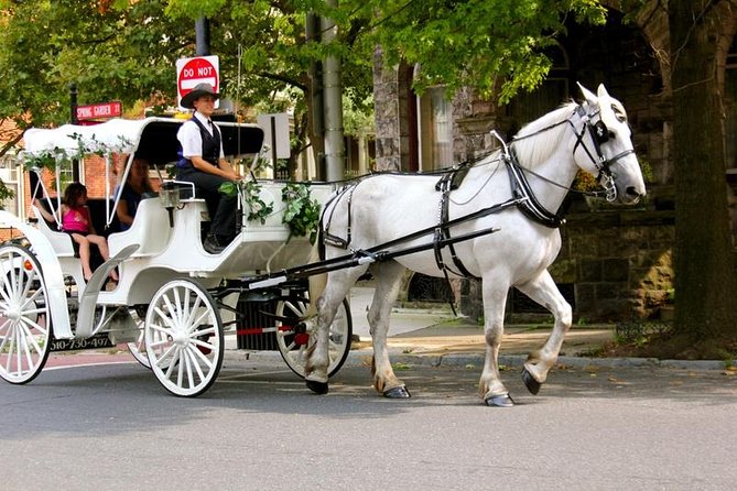 Carriage Ride in Central Park (VIP - PRIVATE) Since 1964™ - Central Park sights you will pass, and how to spot what matters