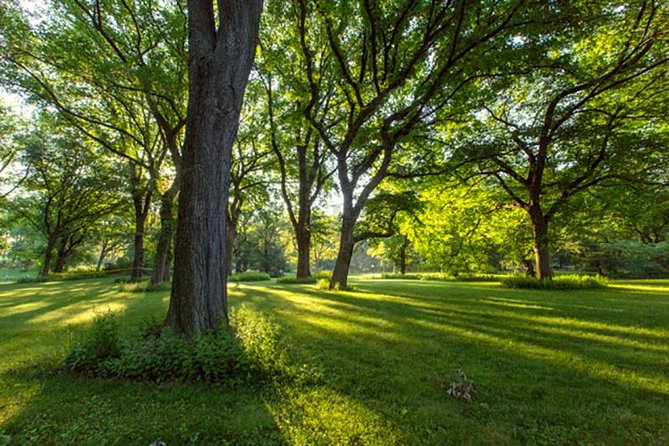 Central Park Guided Walking Tour - Who this tour suits best