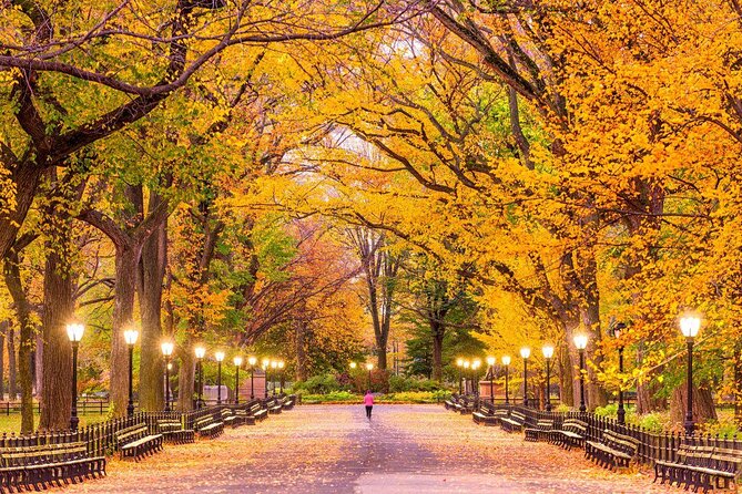 Central Park Pedicab Guided Tours - Why a pedicab beats walking when Central Park is on your list