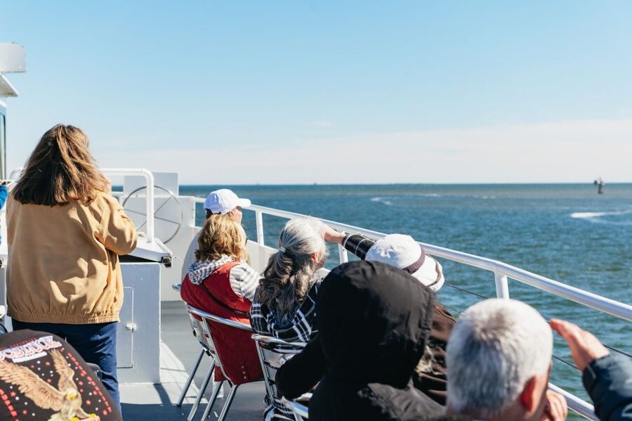 Charleston: Daytime or Sunset Historic Harbor Cruise - Fort Sumter National Monument: The Moment the Cruise Feels Real