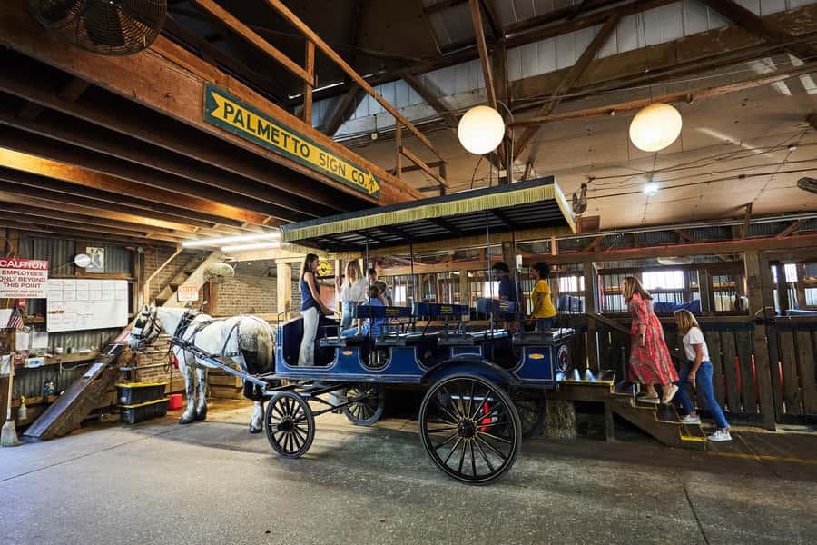 Charleston: Downtown Horse-Drawn Carriage Tour - Key things to know before you go