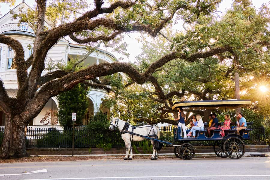 Charleston: Downtown Horse-Drawn Carriage Tour - Your one-hour carriage ride: pace, comfort, and what to wear