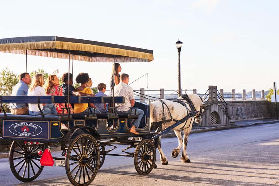 Charleston: Downtown Horse-Drawn Carriage Tour - What you will see in downtown Charleston from the carriage