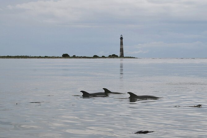 Charleston Eco Boat Cruise with stop at Morris Island Lighthouse - Entering the Lowcountry From Bowens Island