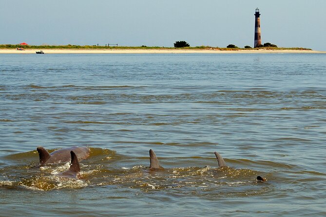 Charleston Eco Boat Cruise with stop at Morris Island Lighthouse - What to Bring for a Windy, Shell-Friendly Day