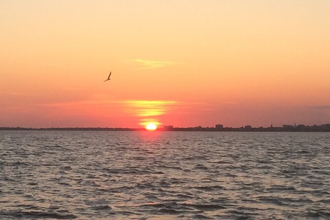 Charleston Harbor Sunset Cruise - Crew energy and the ask-anything style of guiding
