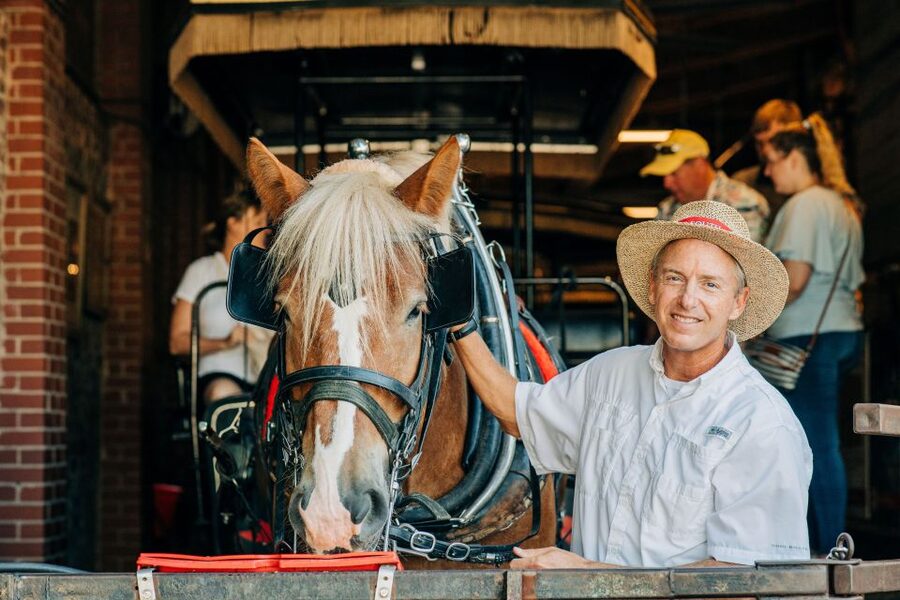 Charleston: Historical Downtown Tour by Horse-drawn Carriage - Should You Book This Charleston Horse-Drawn Carriage Tour?
