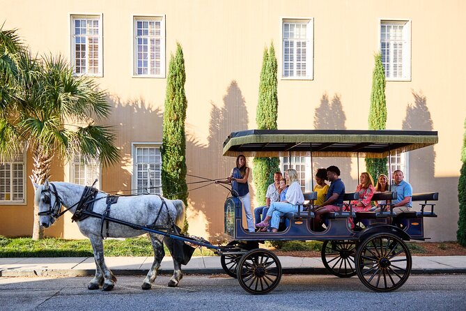 Charleston Horse-Drawn Carriage Tour: Explore Historic Charleston - Photos From an Open-Sided, Covered Ride