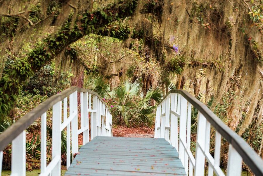 Charleston: Magnolia Plantation Entry & Tour with Transport - Magnolia Plantation’s guided house tour, and why Drayton Home matters