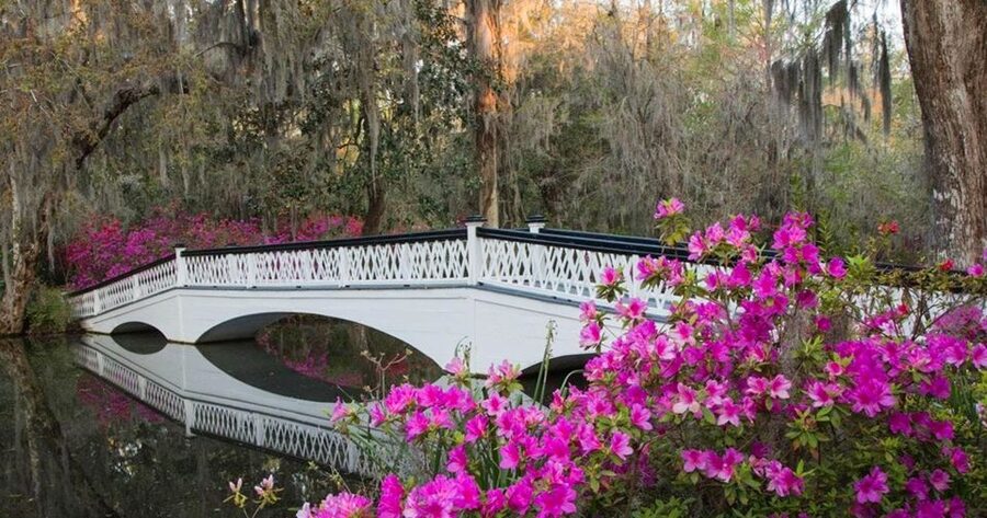 Charleston: Magnolia Plantation Entry & Tour with Transport - How much time you get on the grounds, and how to use it