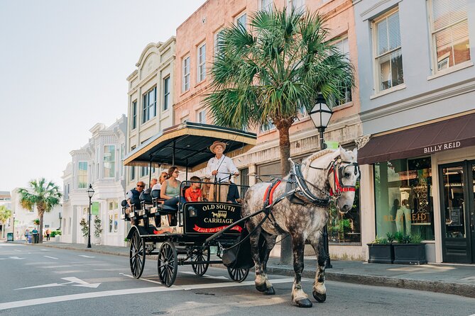 Charleston’s Old South Carriage Historic Horse & Carriage Tour - The key story stop: Gov. William Aiken House and the feel of street-level history