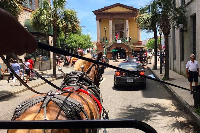Charleston’s Old South Carriage Historic Horse & Carriage Tour - Price and value: is $50 worth it for your Charleston day?