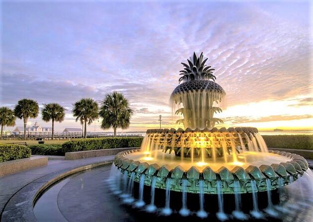 Charleston Water Taxi Cruise with Dolphin Sighting - Why This Charleston Water Taxi Feels Easier Than a Big Tour