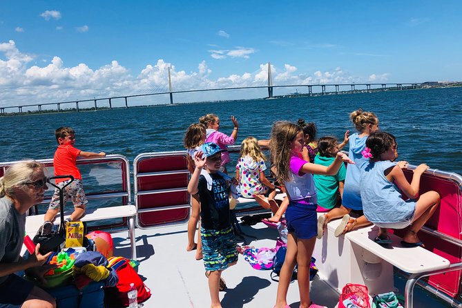 Charleston Water Taxi Cruise with Dolphin Sighting - Dolphins on This Cruise, What to Expect and How to Spot Them