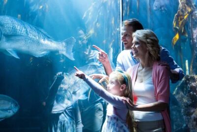 1-5 Day Attraction Pass with Shedd Aquarium