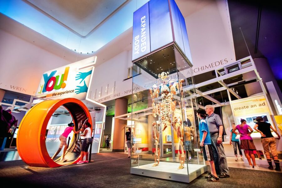 Chicago CityPASS®: Save up to 49% at 5 Top Attractions - Shedd Aquarium, All-Access Admission Plus the 4-D Hit