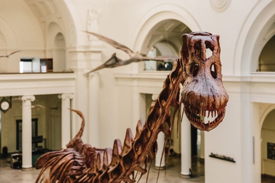 Chicago CityPASS®: Save up to 49% at 5 Top Attractions - How I’d Build a Smart 9-Day Rhythm Around the Pass