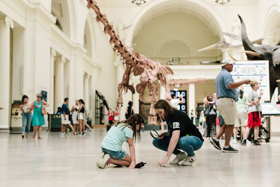 Chicago Explorer Pass: 2 to 7 Attractions including SkyDeck - Mixing and Matching a Smart Itinerary (2, 3, or 4 Stops)
