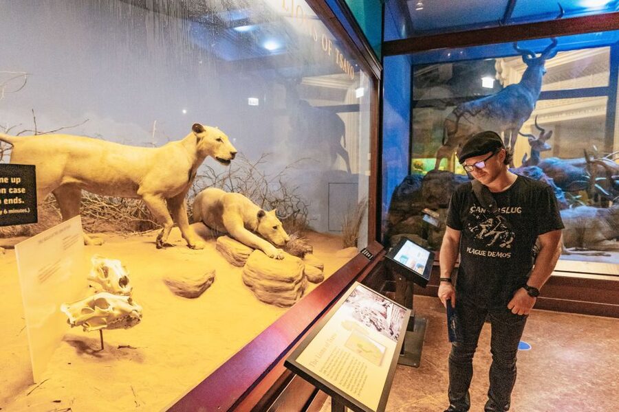 Chicago: Field Museum of Natural History Ticket or VIP Tour - Should You Book This Field Museum Ticket or VIP Tour?
