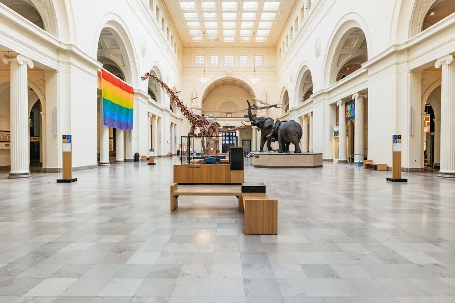 Chicago: Field Museum of Natural History Ticket or VIP Tour - Field Museum VIP or Ticket, What Makes It Worth Your Time
