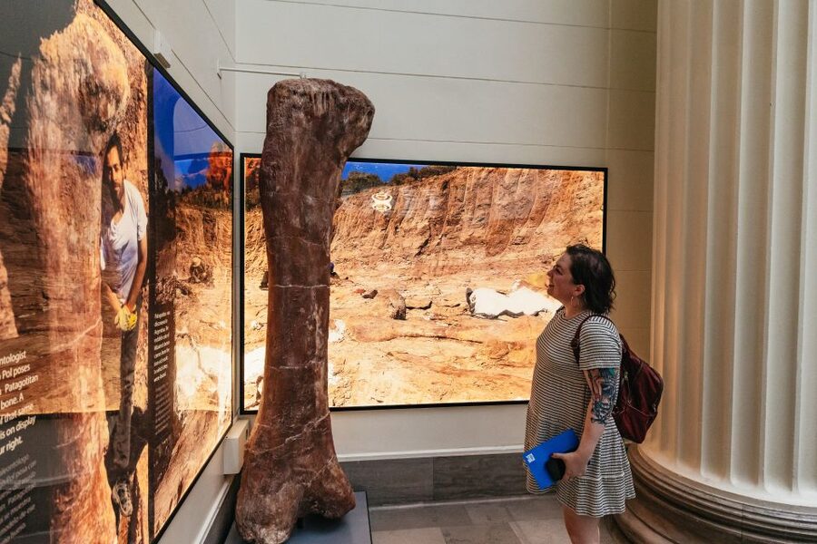 Chicago: Field Museum of Natural History Ticket or VIP Tour - Sue the T. rex, Maximo, and Why This Museum Does Dinosaurs Differently