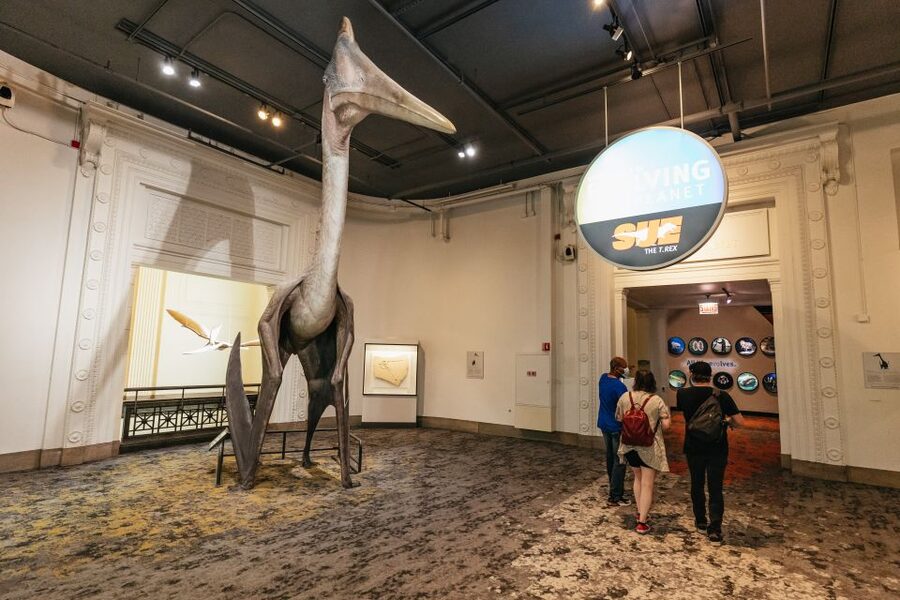 Chicago: Field Museum of Natural History Ticket or VIP Tour - The Big Special Attractions: Lions of Tsavo, Mastaba Tombs, and the 3D Movie