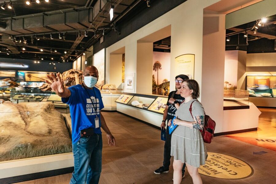 Chicago: Field Museum of Natural History Ticket or VIP Tour - The Core Exhibits You Should Aim For (Even If Dinosaurs Are Your Priority)