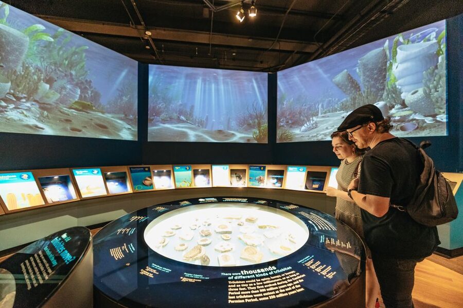 Chicago: Field Museum of Natural History Ticket or VIP Tour - What to Know Before You Go: Comfort, Money, and Small Friction