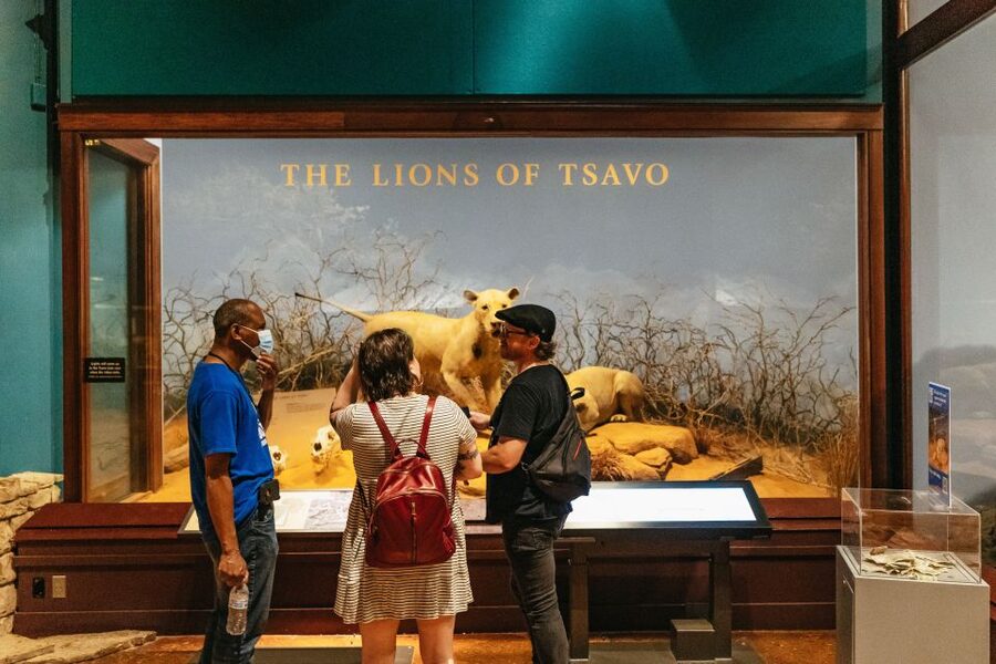 Chicago: Field Museum of Natural History Ticket or VIP Tour - How the Day Works: Building Your Own Museum Route