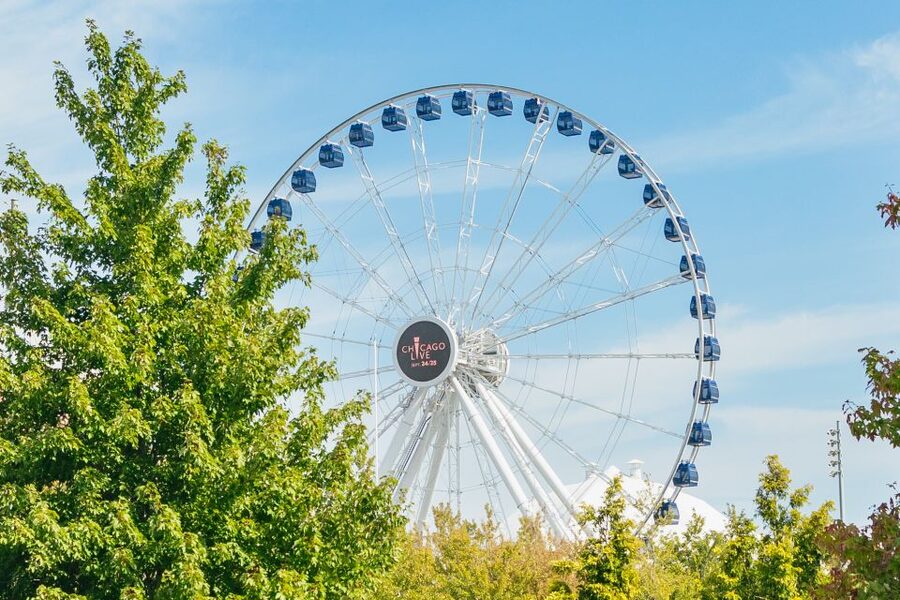 Chicago: Hop-on Hop-off Sightseeing Tour by Open-top Bus - 360 CHICAGO and the Skyline Payoff