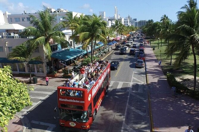 City Half Day Tour of Miami by Bus with Sightseeing Cruise - The city bus leg: South Beach and downtown in one smooth loop