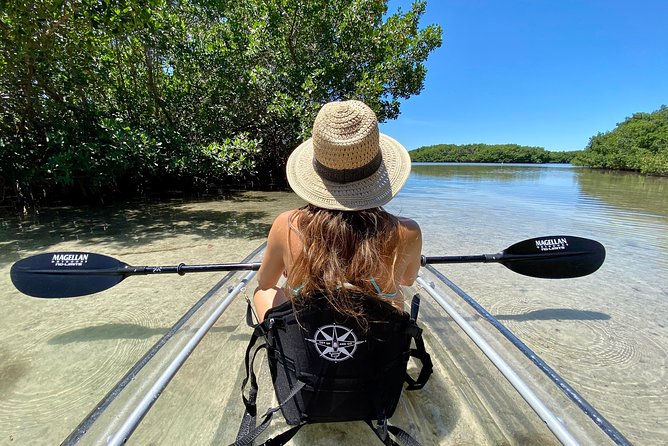 Clear Kayak Tour of Shell Key Preserve and Tampa Bay Area - Key things that make this tour worth your time
