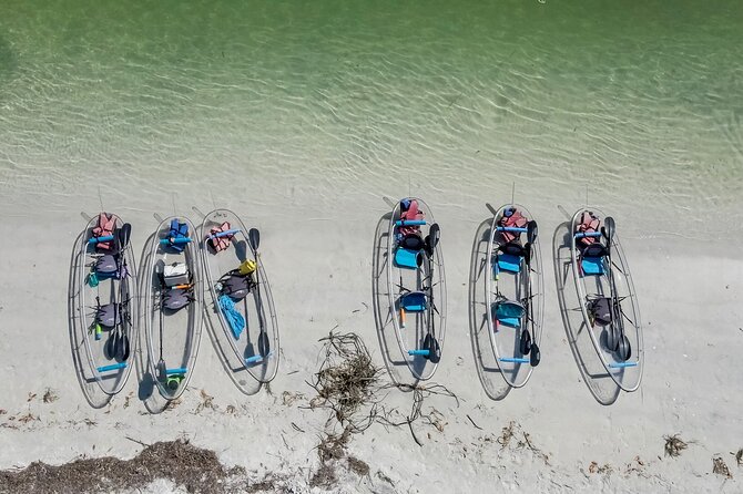 Clear Kayak Tour of Shell Key Preserve and Tampa Bay Area - Wind, Arm Work, and When the Water Looks Murky