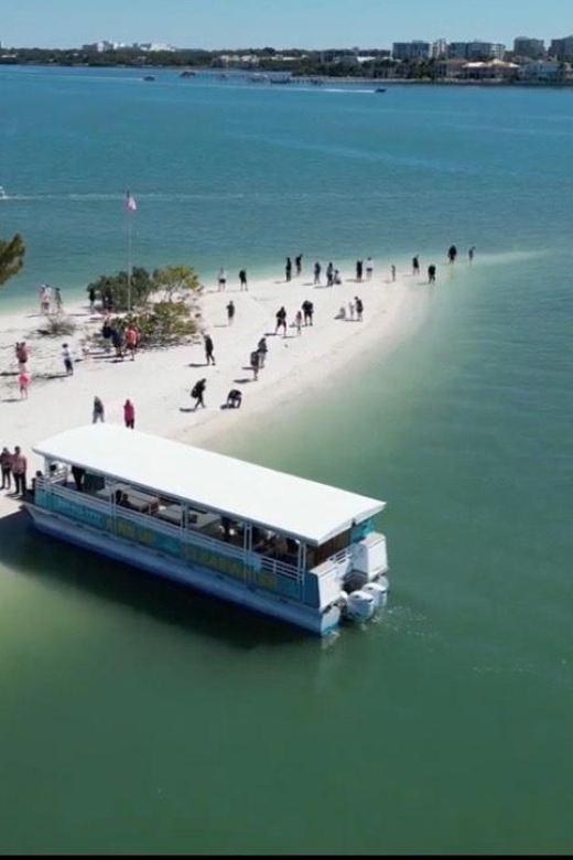 Clearwater Beach: Dolphin & Island Sandbar Cruise - Key highlights you will care about