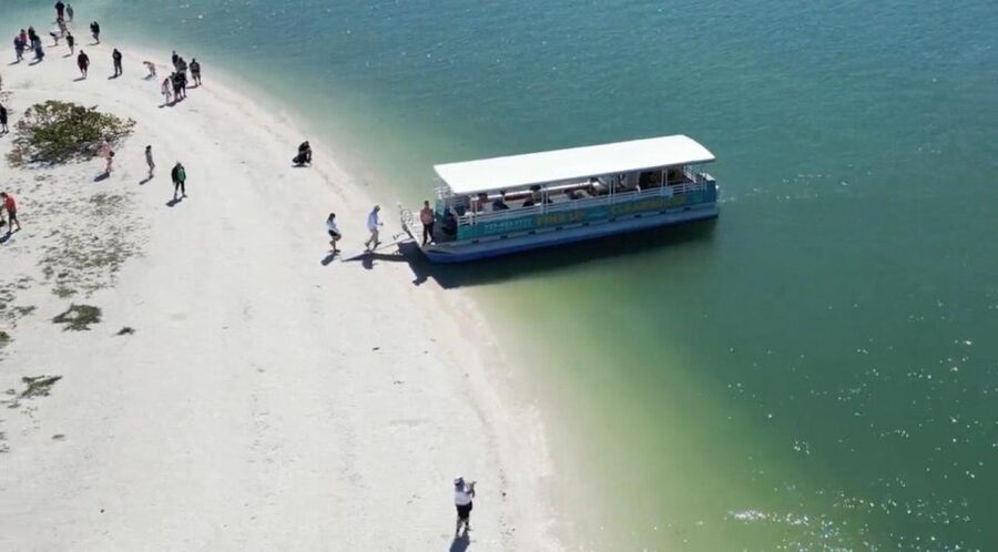 Clearwater Beach: Dolphin & Island Sandbar Cruise - Where you sit, how you relax, and how to make the most of a short stop
